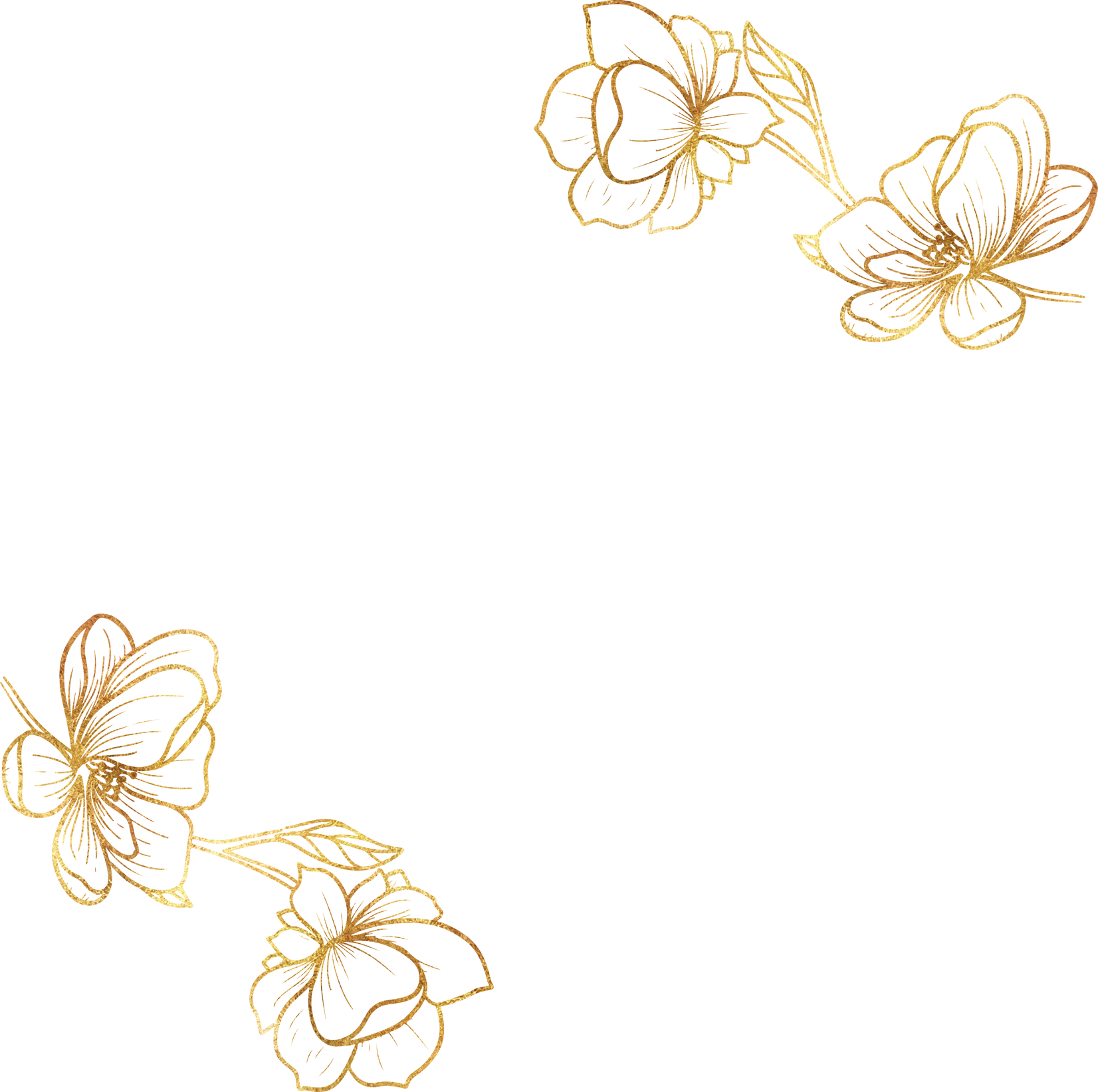 Flower Gold Background